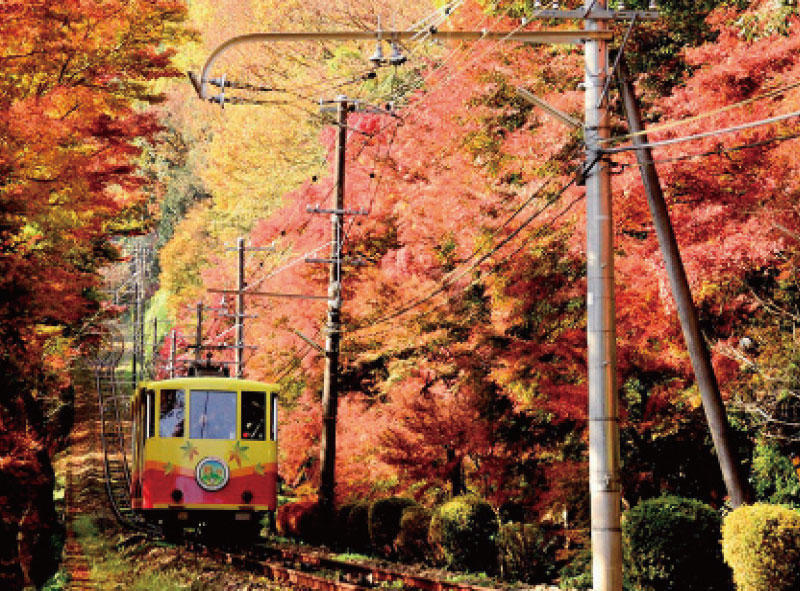 Mt. Takao Cable Car & Chair Lift
